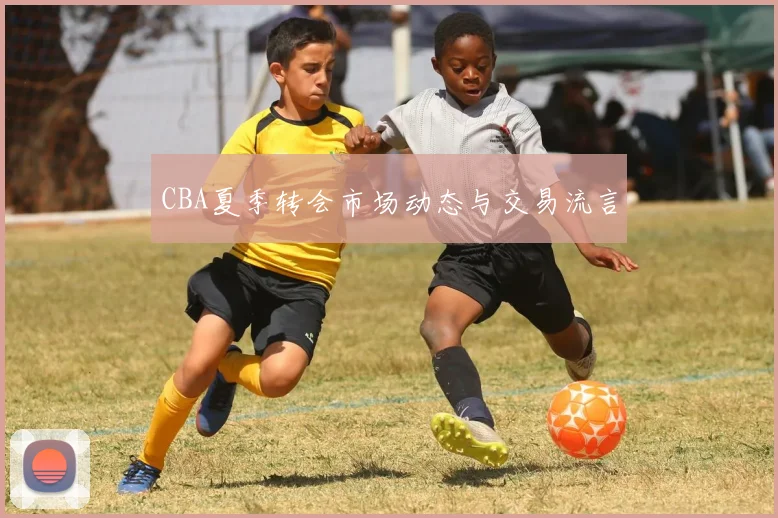 CBA夏季转会市场动态与交易流言