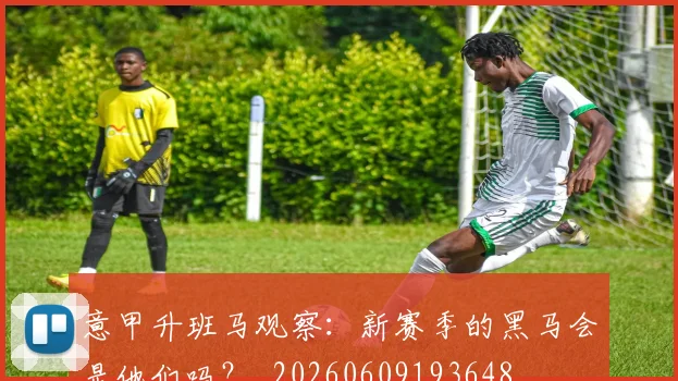 意甲升班马观察:新赛季的黑马会是他们吗?_20260609193648